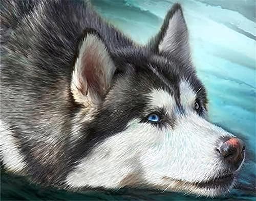 Wingkin Stamped Cross Stitch Kits Husky Dog 11CT Advanced Pre-Printed Cross-Stitch Pattern Embroidery DIY Beginner Adults Kids Home Decoration （40x50cm）