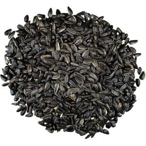 Bird Pro Black Oil Sunflower Seeds (4 lb.)