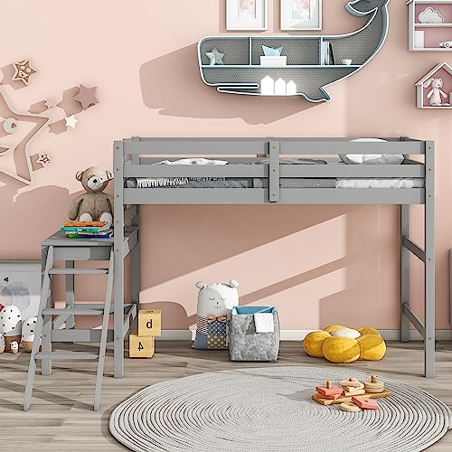 Prohon Loft Bed Twin Size with Platform & Ladder, Simple Loftbed with Large Underbed Storage Space and Full-Length Guardrails, Wooden Slat Support Loft Beds Frame, No Box Spring Needed, Grey