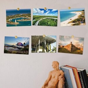 Dear Mapper Vintage United States Florida Landscape Postcards Pack 20pc/Set Postcards from Around the World Greeting Cards for Business World Travel Postcard for Mailing Decor Gift