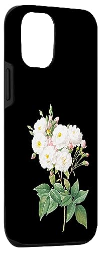 iPhone 13 Pierre Joseph Redoute White Roses Paint Flower Gardener Gift Case