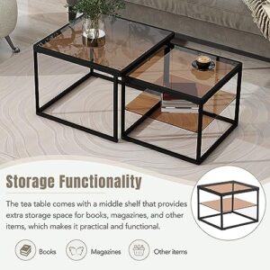 Modern Nested Coffee Table Set with High-Low Combination Design,Adjustable 2 Tier Living Room Center Table and end Table with Metal Frame and Brown Tempered Glass. (Black~Metal Frame)