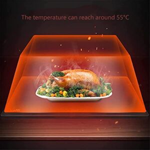 Food and Plate Warming Tray Electric Warming Tray 5 Inch Buffets Server Electric Food Warmer Plate Perfect for Family Use