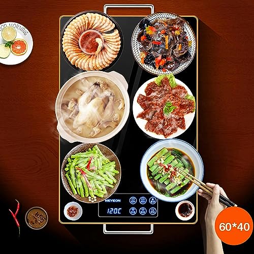 Buffet Warming Tray Hot Plate with Adjustable Temperature Control, Party Chafing Dish, Electric Food Warmer for Kitchen, Dining Room (Black 16x11inch)