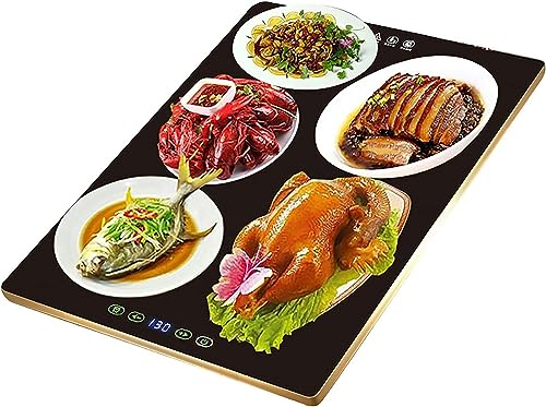 Buffet Warming Tray Hot Plate, Party Chafing Dish, Electric Food Warmer for Kitchen, Dining Room, Restaurant, with Adjustable Temperature Control