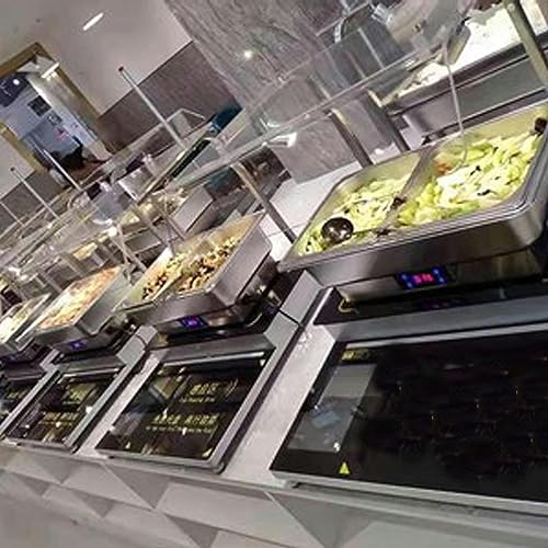 Food Warmers for Parties Buffets Electric 9l Stainless Steel Buffet Server and Warming Tray Chafing Dish Buffet Set Adjustable Temperature for Catering Buffet and Party (Single Grid)