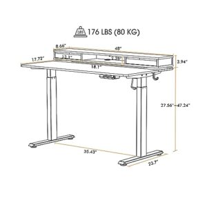 FEZIBO 48 × 26 Inch Electric Standing Desk with Monitor Stand, Height Adjustable Table with LED Strips, Ergonomic Home Office Furniture with 2 Drawers Storage Gaming Workstation, Light Walnut Top