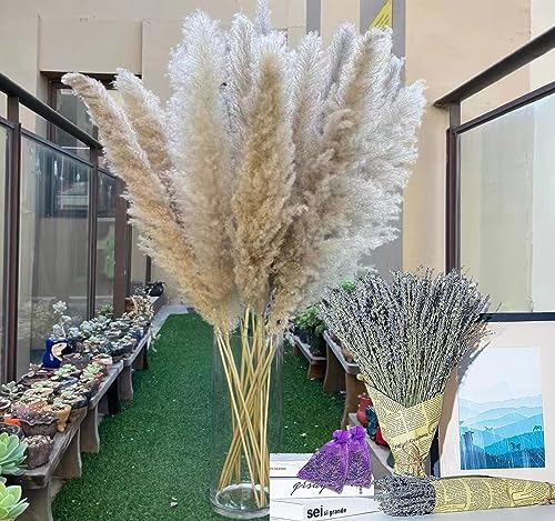 Save 53% Instantly on Combined Orders of 10PCS 47In Tall Natural Pampas Grass and 2 Bundles of 200 Stem & 2 Dried Lavender Sachets for Home Boho Decor