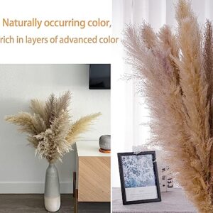 Save 53% Instantly on Combined Orders of 10PCS 47In Tall Natural Pampas Grass and 2 Bundles of 200 Stem & 2 Dried Lavender Sachets for Home Boho Decor