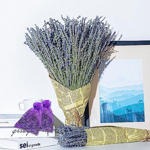 Save 53% Instantly on Combined Orders of 10PCS 47In Tall Natural Pampas Grass and 2 Bundles of 200 Stem & 2 Dried Lavender Sachets for Home Boho Decor