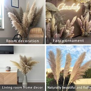 Save 53% Instantly on Combined Orders of 10PCS 47In Tall Natural Pampas Grass and 2 Bundles of 200 Stem & 2 Dried Lavender Sachets for Home Boho Decor