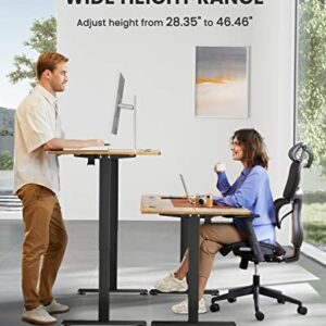 ErGear Height Adjustable Electric Standing Desk Dual Monitor Desk Mount