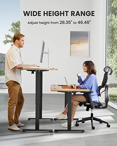 ErGear Height Adjustable Electric Standing Desk Dual Monitor Desk Mount