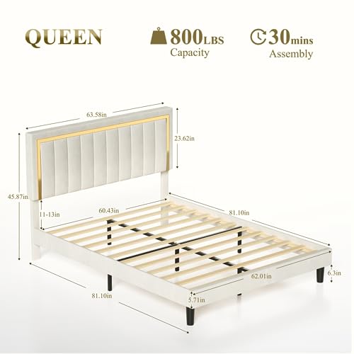 Origeture Queen Platform Bed Frame with Adjustable Headboard, Velvet Upholstered Queen Bed Frame Modern with Wooden Slats & Gold Tufted, Heavy Duty, Easy Assembly, No Box Spring Needed, Beige