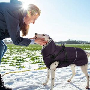 Dog Winter Coat with Harness, Windproof Warm Puppy Cold Weather Vest, Reflective Zip Up Pet Jacket, Water-Resistant Doggie Snow Clothes, Soft Fleece Lining Pup Apparel Thick Plush Collar Outfit(L)