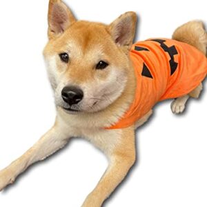 ComfyCamper Pumpkin Dog Costume - X Large Medium Small Shepherd French Lab Retrieve Pet Cosplay Halloween Costumes (X-Large)