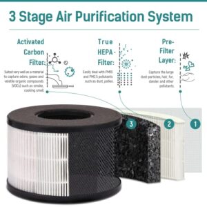 BS-14 Air Purifier & BS-03 Air Purifier, Effectively Clean 99.97% of Dust, Smoke, Pets Dander, Pollen, Odors