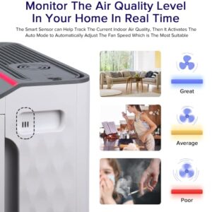 BS-14 Air Purifier & BS-03 Air Purifier, Effectively Clean 99.97% of Dust, Smoke, Pets Dander, Pollen, Odors