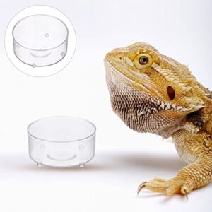 Reptile Food Bowls 30Pcs Reptile Water Bowls Reptile Feeder Food Dish Transparent Food Bowl Terrarium Bowls Worm Dish for Tortoise Lizard Bearded Dragon Frog Leopard Gecko Snake