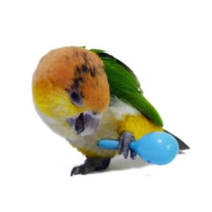 3PCS- Colourful Mini Ball Sand Hammer Parrot Rattle Shaker Musical Sound Toy Intelligent Sand Hammer Toys for Parakeets Canaries Cockatiels Conure Lovebirds(Random Color)