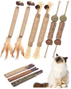 catnip chew toys for cats, 12 pack natural silvervine sticks for kittens teeth cleaning, matatabi dental care, increase appetite, calm cat anxiety and stress, aggressive chewers cat dental toy