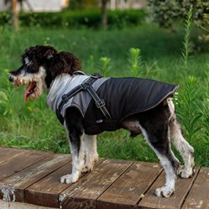 Gyuzh Padded Vest Dog Jacket Warm Zip Up Dog Vest Jacket with Harness Winter Small Dog Coat - Dog Clothes for Small Dogs (Black + Grey, Medium)