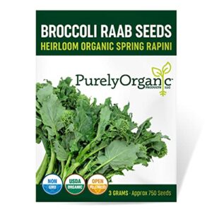 purely organic products broccoli raab seeds (spring rapini) - approx 900 seeds - certified organic, non-gmo, open pollinated, heirloom