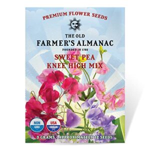 the old farmer's almanac sweet pea seeds (knee high mix) - approx 10 flower seeds - premium non-gmo, open pollinated, usa origin