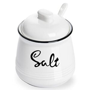 haotop farmhouse porcelain salt bowl with lid and spoon 12oz,easy to clean (white)