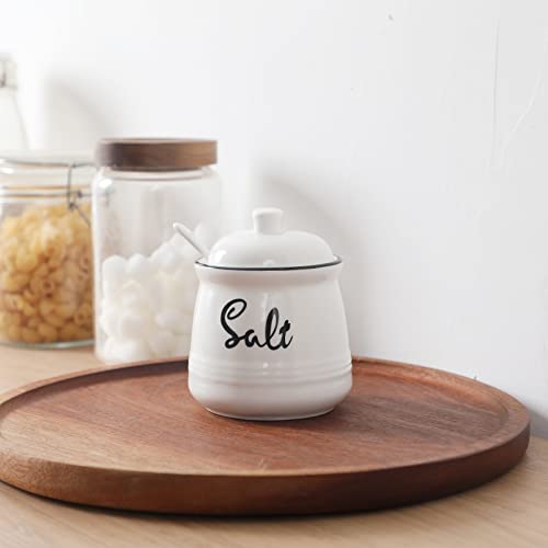 HAOTOP Farmhouse Porcelain Salt Bowl with Lid and Spoon 12oz,Easy to Clean (White)