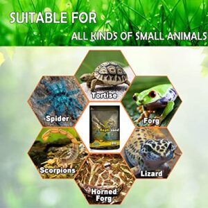 BNOSDM Reptile Terrarium Sand Lizard Substrate and Snake Bedding Clean Natural Terrarium Bedding for Bearded Dragon Lizard Gecko Scorpion Chameleon