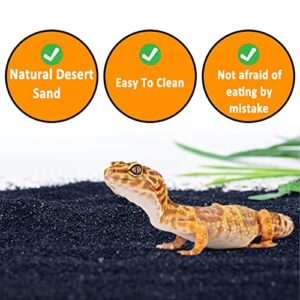 BNOSDM Reptile Terrarium Sand Lizard Substrate and Snake Bedding Clean Natural Terrarium Bedding for Bearded Dragon Lizard Gecko Scorpion Chameleon