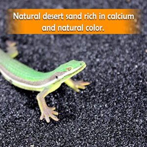 BNOSDM Reptile Terrarium Sand Lizard Substrate and Snake Bedding Clean Natural Terrarium Bedding for Bearded Dragon Lizard Gecko Scorpion Chameleon