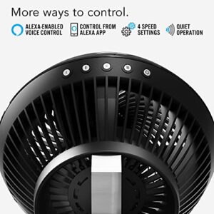 Vornado 660 AE Large Whole Room Compatible with Alexa Air Circulator Fan with 4 Speeds, Black, A Certified for Humans Device & 630 Mid-Size Whole Room Air Circulator Fan