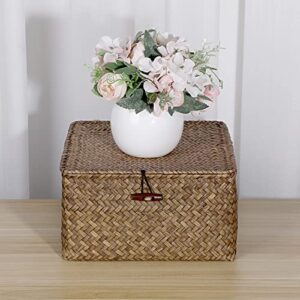 Hipiwe Wicker Shelf Baskets Bin with Lid Handwoven Seagrass Storage Basket Container Square Multipurpose Household Basket Boxes for Shelves and Home Organizer, Coffee Medium