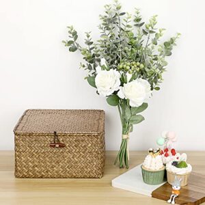 Hipiwe Wicker Shelf Baskets Bin with Lid Handwoven Seagrass Storage Basket Container Square Multipurpose Household Basket Boxes for Shelves and Home Organizer, Coffee Medium