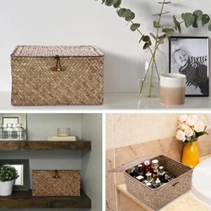 Hipiwe Wicker Shelf Baskets Bin with Lid Handwoven Seagrass Storage Basket Container Square Multipurpose Household Basket Boxes for Shelves and Home Organizer, Coffee Medium