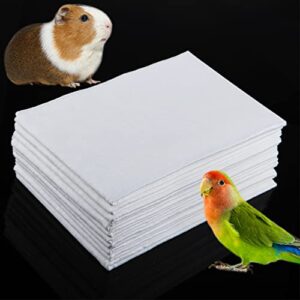 dqitj 10 pcs guinea pig disposable bath towels, small animal bird parrot portable bath cloths ultra water absorbent (15.7" l x 11.8" w)
