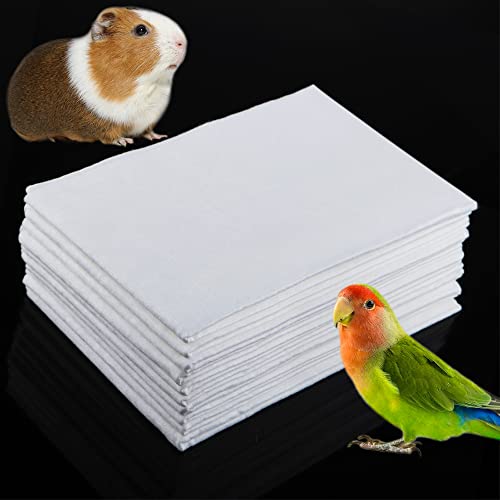 DQITJ 10 Pcs Guinea Pig Disposable Bath Towels, Small Animal Bird Parrot Portable Bath Cloths Ultra Water Absorbent (15.7" L x 11.8" W)