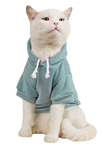 QWINEE Basic Dog Hoodie, Dog Warm Jacket, Cat Apparel, Dog Shirt, Dog Clothes for Puppy Kitten Small Medium Dogs Cats Cadet Blue XL