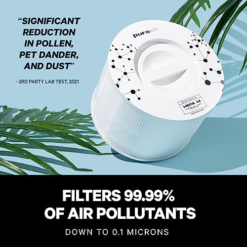 2-Pack of Genuine PuroAir 240 Replacement Filter HEPA 14 Medical-Grade - HEPA 14 Filter for PuroAir Purifier - Captures 99.99% of Pet Dander, Smoke, Pollen, Allergens, Dust, Mold, Odors (2 PACK)