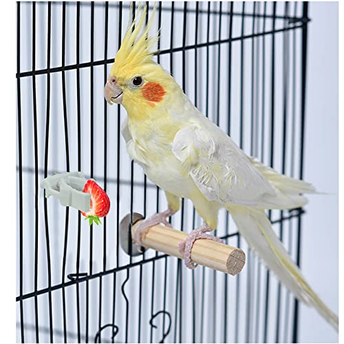 WishLotus Bird Cage Feeding Clips, 4 PCS Plastic Durable Parrot Fruit Vegetable Clips Bird Cage Food Holder Mini Bird Cage Feeder for Pet Birds and Parrot Feeding Bird Cage Accessories (A)