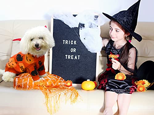 CooShou Halloween Sweater Costume for Dogs Cat Pumpkin Knitwear Clothes Costume with Pumpkin Kitten Pattern Dog Halloween Sweater Coat for Kittens Small Dogs Cats S