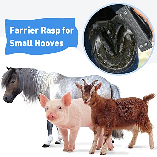 Goat Hoof Rasp File, Farrier Rasp for Small Hooves, Goat and Small Animals