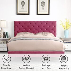 Queen Upholstered Platform Bed Frame with 48" Tall Adjustable Headboard - Button Tufted Suede Velour Bed- Wood Slat Support with Storage Space- No Box Spring Needed - Pink - OLIVER & SMITH - Princeton