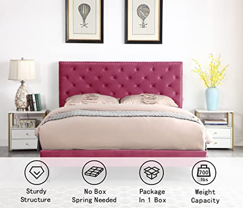 Queen Upholstered Platform Bed Frame with 48" Tall Adjustable Headboard - Button Tufted Suede Velour Bed- Wood Slat Support with Storage Space- No Box Spring Needed - Pink - OLIVER & SMITH - Princeton
