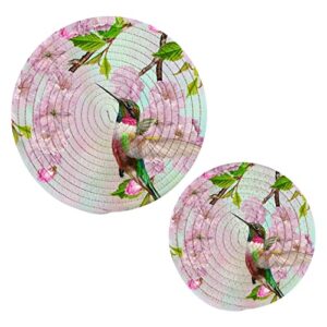trivets for hot pots dishes heat resistant, hummingbird hot mats pads for kitchen decorative counter tops dining washable pot holder coasters set
