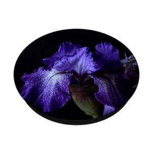 Purple Iris Flower PopSockets Swappable PopGrip