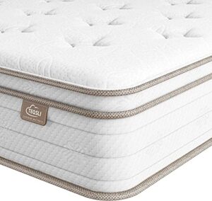 teqsli full mattress 10 inch, cool eggshell memory foam and 7 zone pocket innerspring hybrid in a box, pressure relief & supportive full bed mattress, breathable cover 100 nights trial (tsb25f-us)