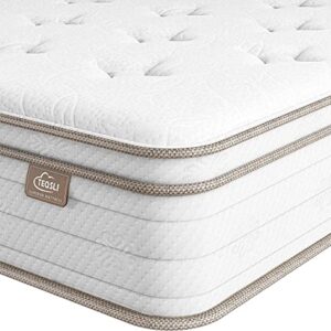 TeQsli Full Mattress 10 Inch, Cool Eggshell Memory Foam and 7 Zone Pocket Innerspring Hybrid in a Box, Pressure Relief & Supportive Full Bed Mattress, Breathable Cover 100 Nights Trial (TSB25F-US)